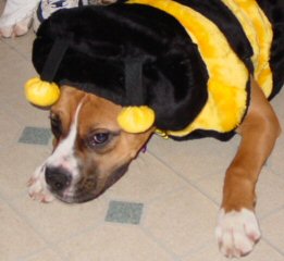"Bee" Good Emma