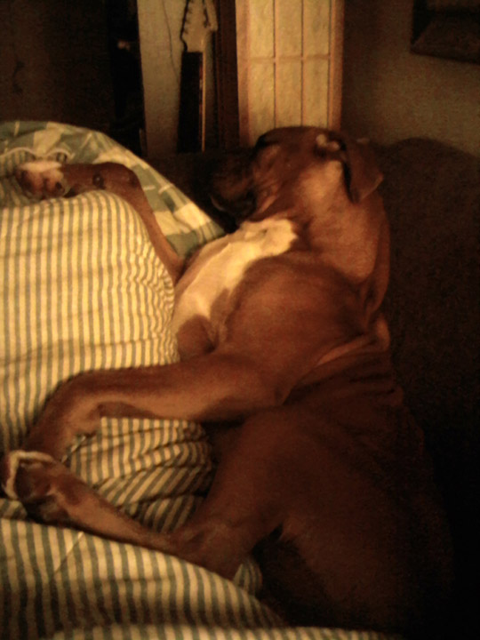 Been a lonnnnng day!
