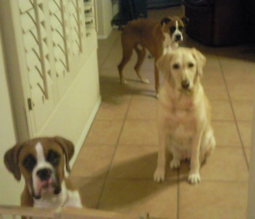 Beggars