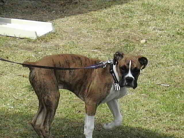 being a good boy 2