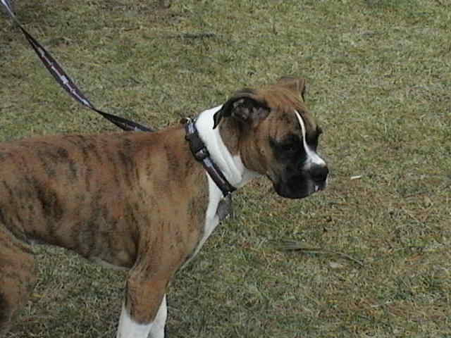 being a good boy