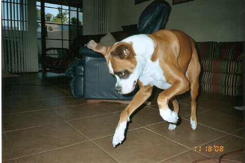 being a goofball