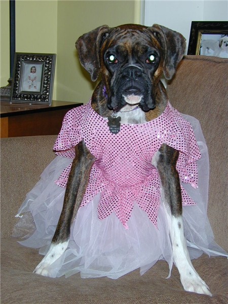 Being a Princess