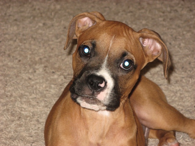 Being Cute @ 3 months