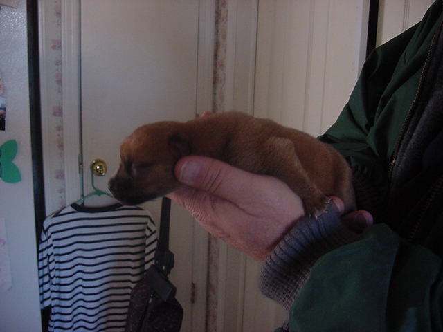 Being held by "Papa" for the 1st time