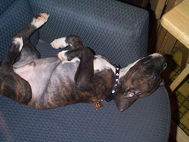 Being Lazy in MY CHAIR!!!