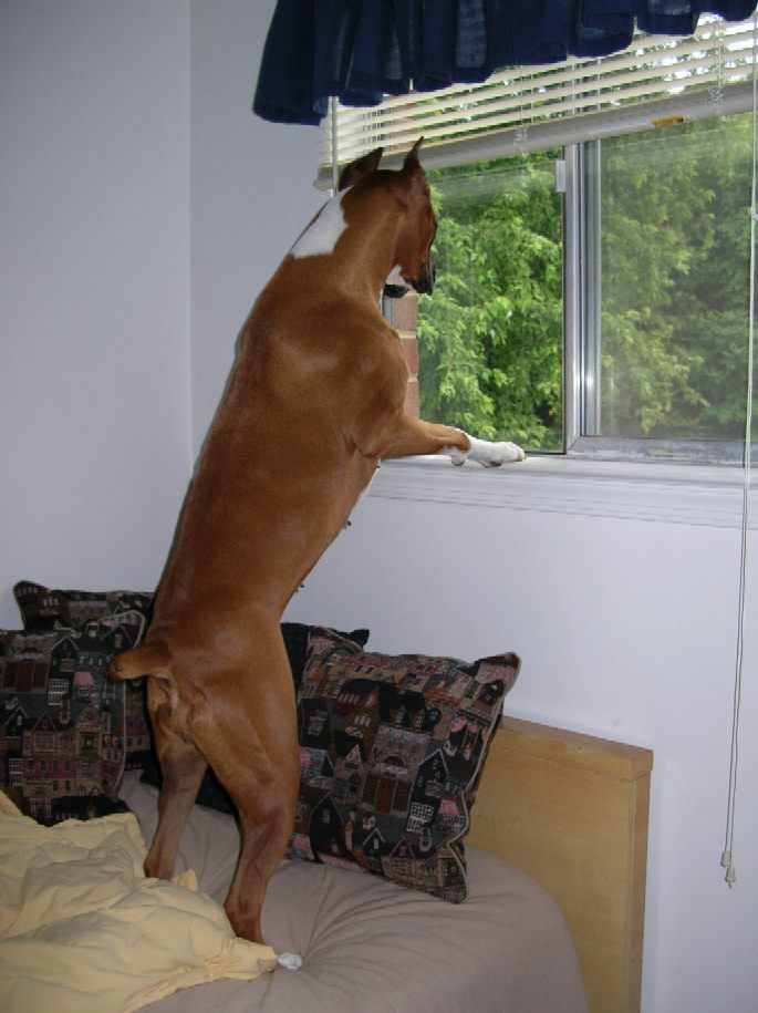 Being Nosy