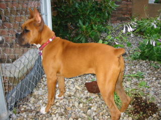 Bella 5 months