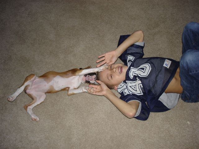 Bella and Dustin Wrestling