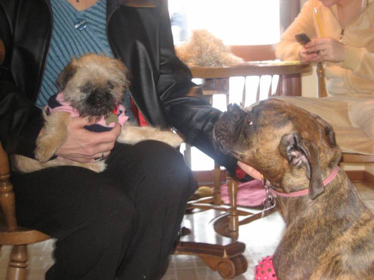 bella and molly