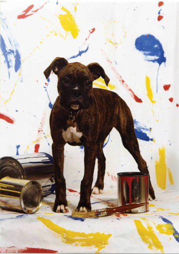 bella-and-paint