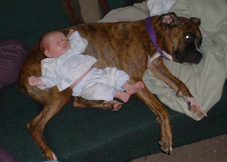 Bella and Shawn
