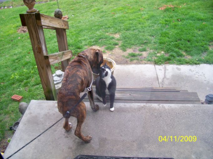Bella & her friend Talcott