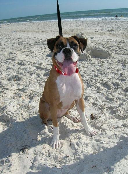 Bella in Florida.