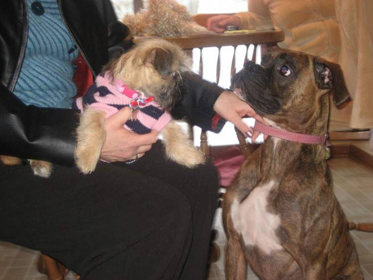 Bella meeting her new cousin Molly