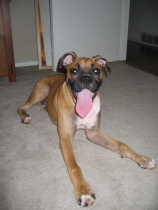Bella Smiling