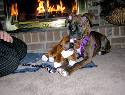 Bella with her new toy