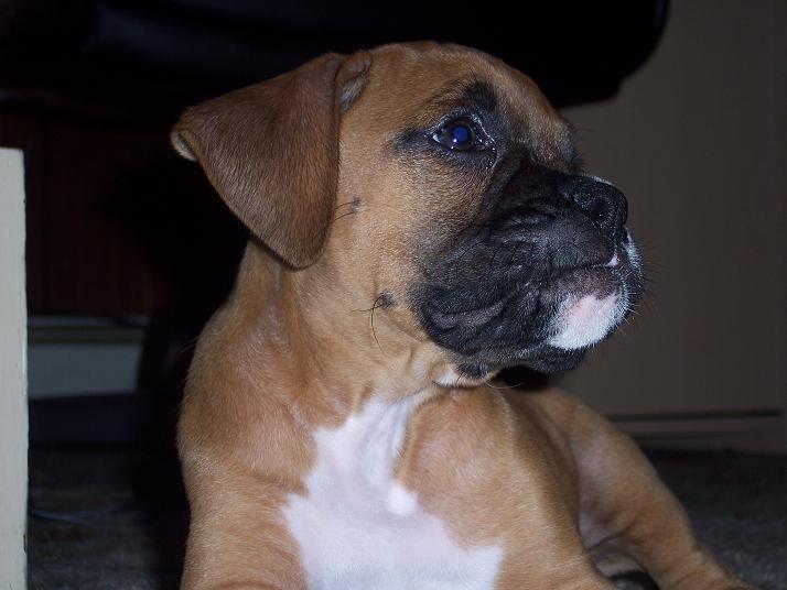 Bella :)