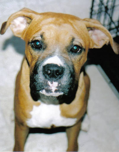 bella_6_months