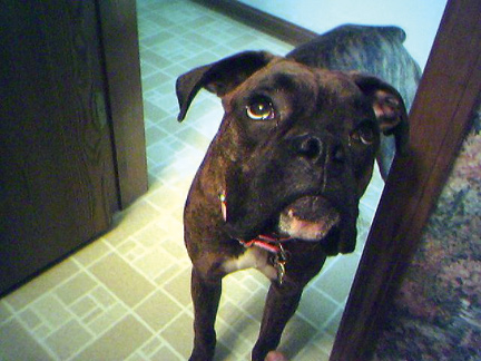 bella_9months