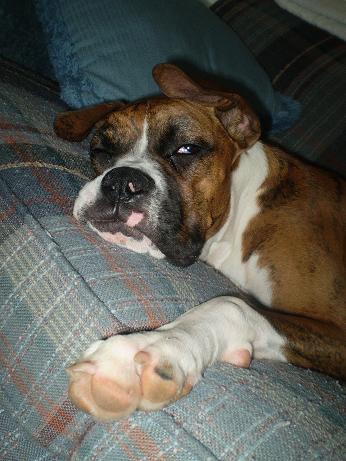 bella_couch
