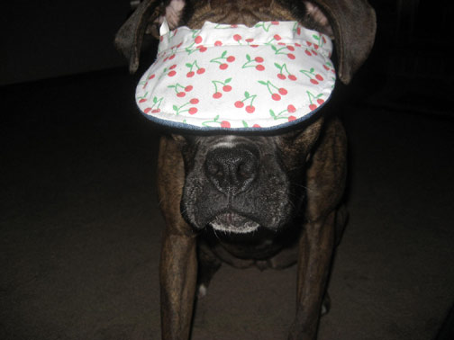 bella_hat3