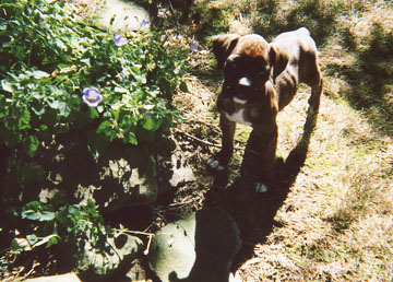 Bella's 2nd day home