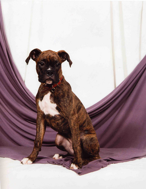 Bellas first portrait