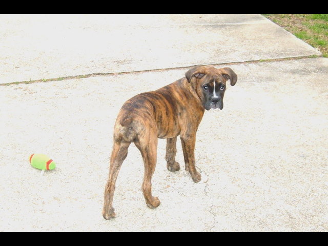 Belle 3-3-05