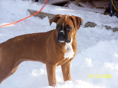belle 5 mth
