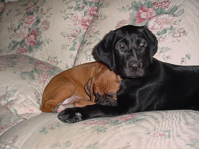 Belle and cousin Max