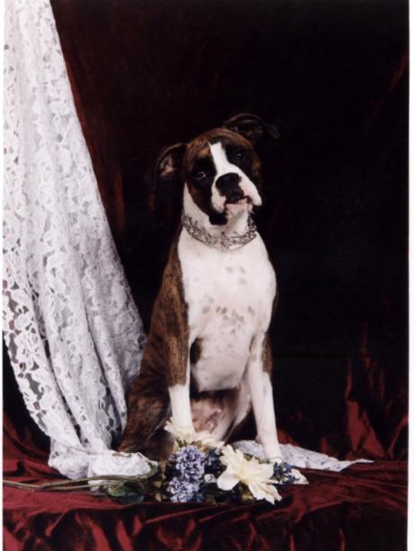 Belle looking pretty