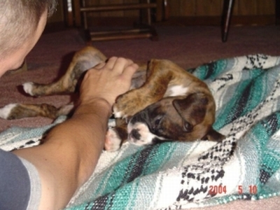 belly rubbin!