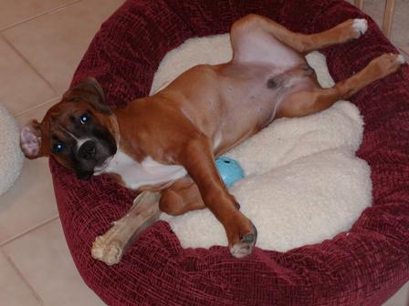 Belly up!