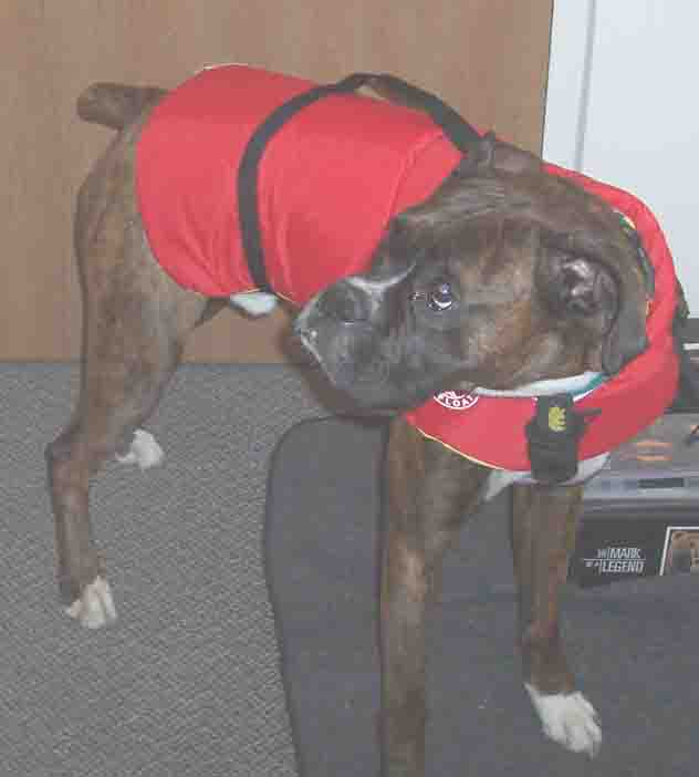 Benchmark for Marine Safety