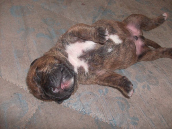 Benji_with_5_days_