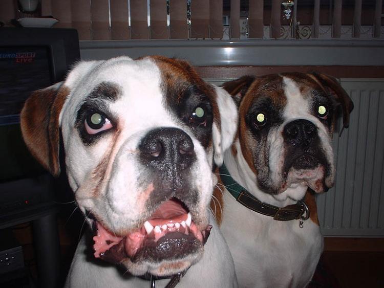 Benn and Cass