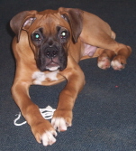 Bentley looking sweet!