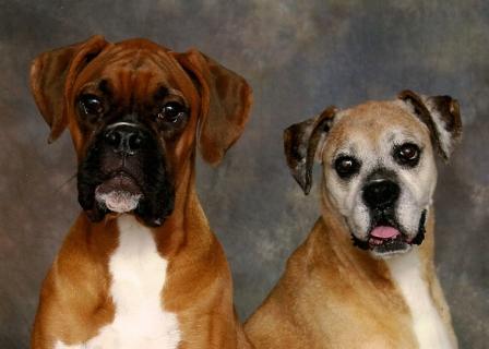 Bentley & Molly