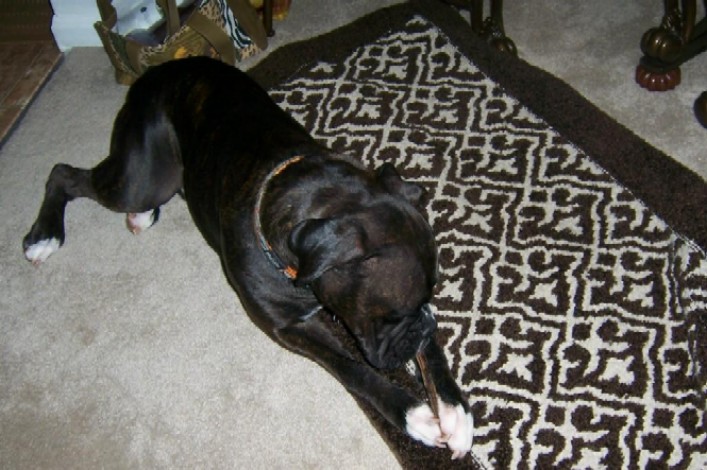 bentley_82