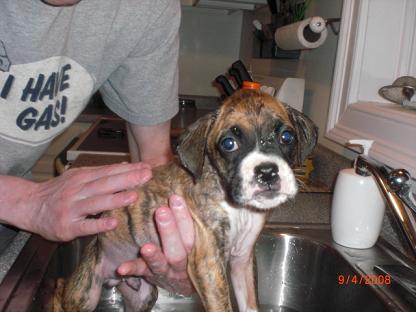 Bentley's 1st Bath