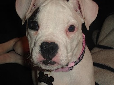 Bently!