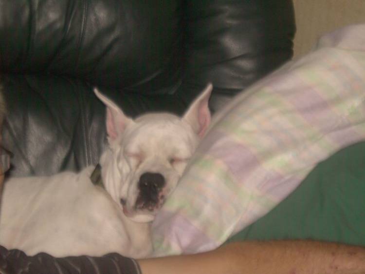 Bently's Mom