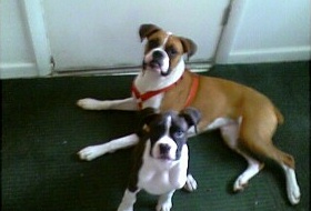 Best Buddies!
