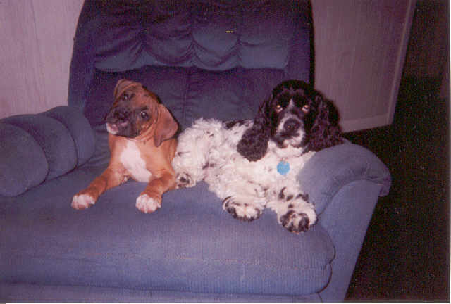 Best buds