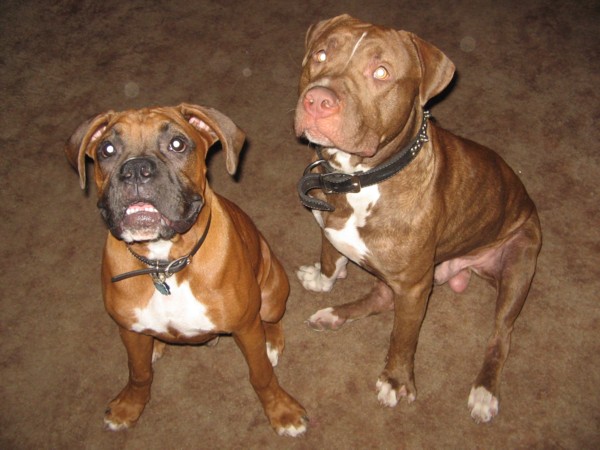Best Buds!