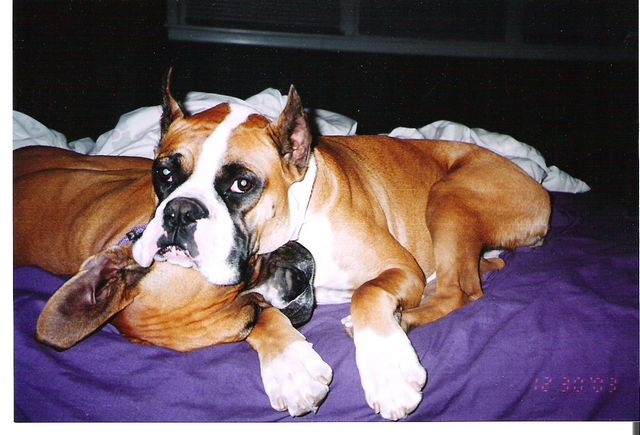 Best friends Jake and Abbie