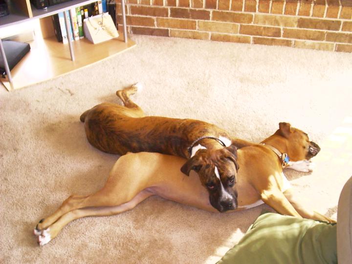 Best Friends