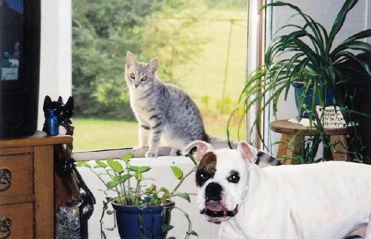 Best friends