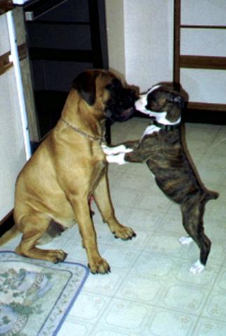 Best Friends